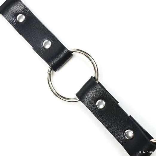 5853 Hook EverydayUse and with Anal Kinky Collar Leash 0614